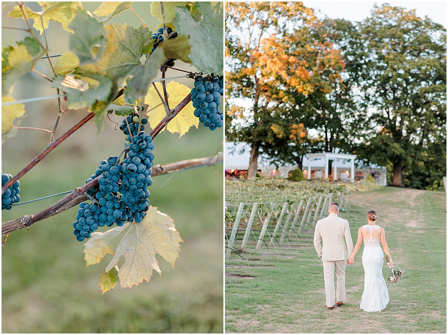 flaghill winery wedding